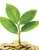 2015 a record year for startup formation 